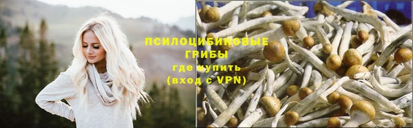 ешки Абаза