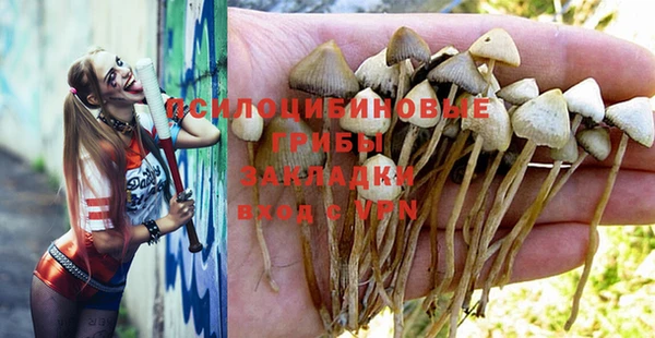 прущие крисы Абинск