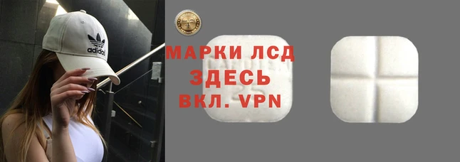 прущие крисы Абинск