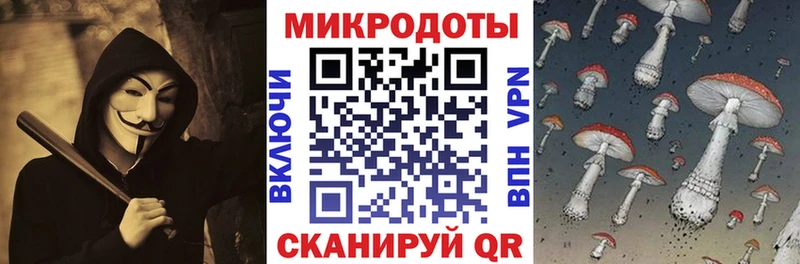 гидра Кисловодск Псилоцибиновые грибы MAGIC MUSHROOMS
