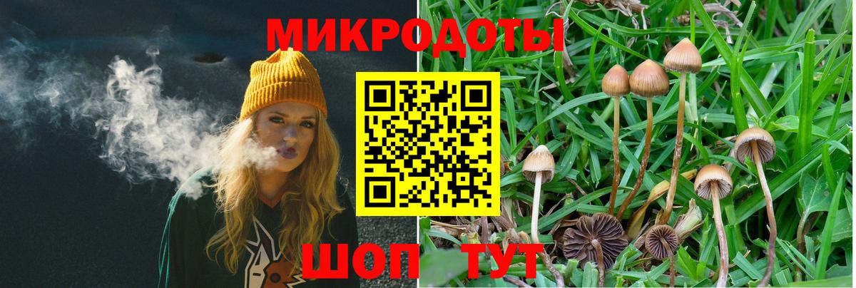 Кисловодск  Галлюциногенные грибы Cubensis  Вход с VPN 
